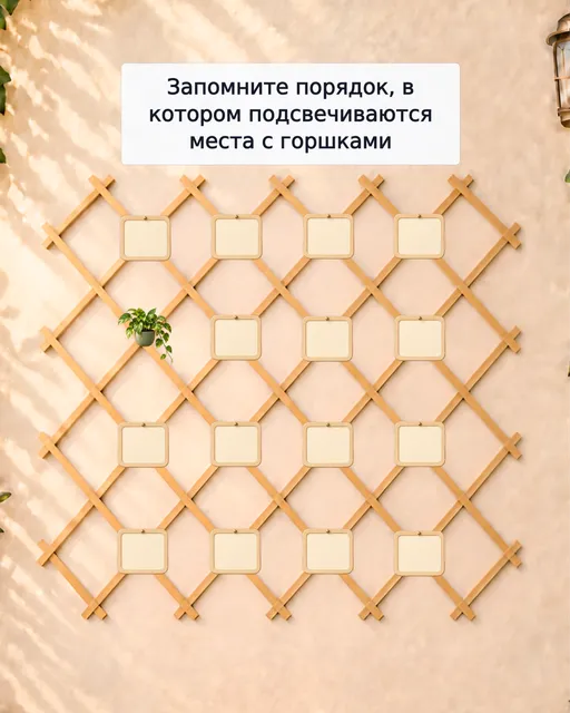 Растения